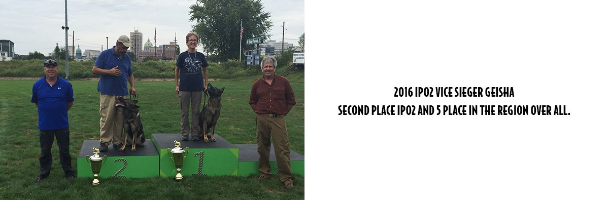 Image Of Trainers Who Give K9 Training To Dogs In Summit, NJ - Pro Canine Center
