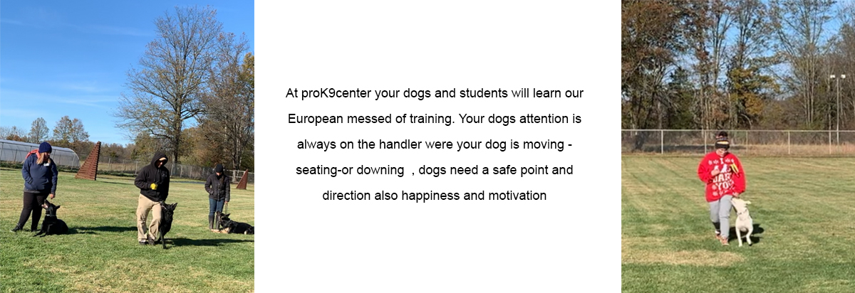 Students - Frenchtown, NJ - Pro Canine Center